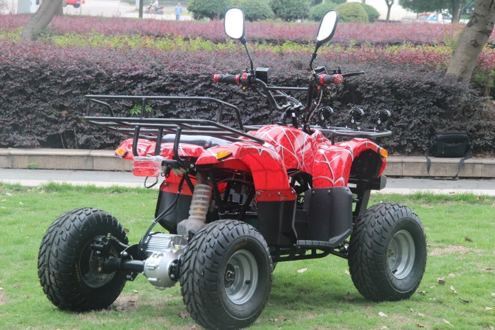 Trade Shows China110cc Motorcycles 125cc Gas Powered Four Wheeler Atvs Quad Bike