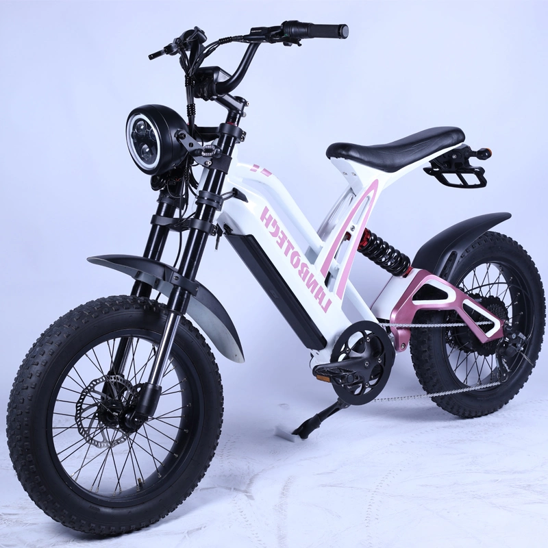 Retro Style Stealth Bomber Moped Fat Tire Electric Dirt Bike 5% Discount