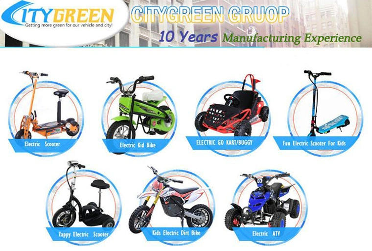 48V 12ah 1000watt Kids Electric Go Kart