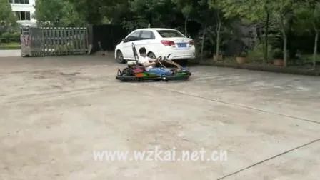 Parque de Diversões Corrida Adulto Duas Pessoas 2 Jogadores Gasolina Pedal Go Kart