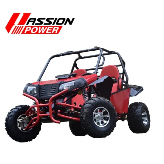 Gasolina 4 tempos 150/200/300cc Racing Dune Buggy off Road Go Kart para adultos