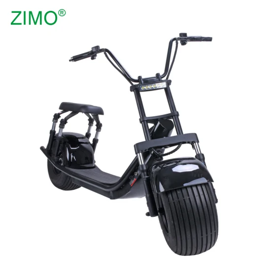 2023 EEC Motocicleta Citycoco Bike Fat Tire Adult City Coco Scooter Elétrico