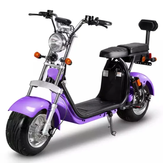 Scooter Elétrico Citycoco 2 Rodas com Pneu Gordo Popular 2000W 60V CE com Bateria de Lítio Removível 1500W-2000W 30-50km/H 6-8h